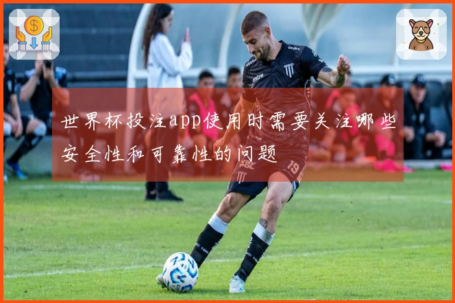 世界杯投注app使用时需要关注哪些安全性和可靠性的问题